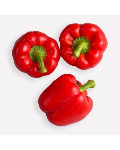 Paprika rood