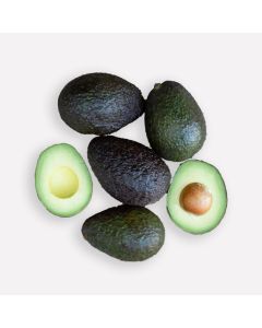 Avocado hass