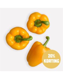 Paprika geel