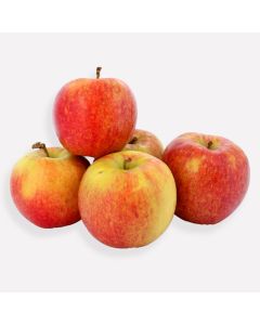 Appel jonagold (regeneratief)