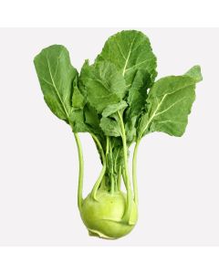 Koolrabi