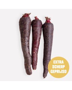 Winterpeen paars (regeneratief)