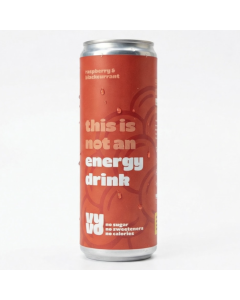 VYVO | Healthy Boost - framboos & zwarte bes