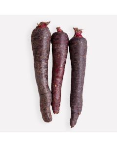 Winterpeen paars (regeneratief)