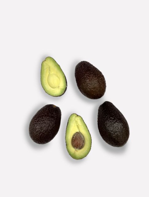 Avocado hass