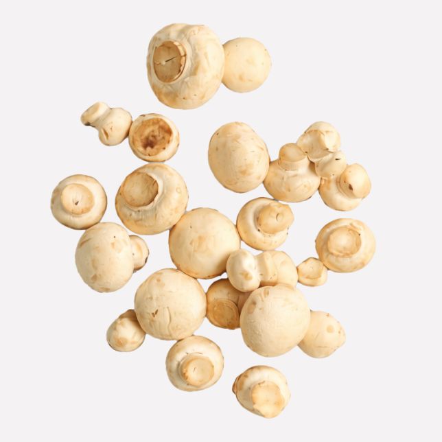 Champignon wit (regeneratief)