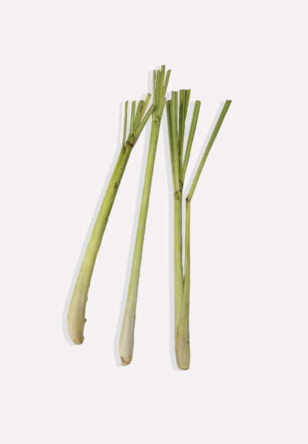 Citroengras (diepvries)