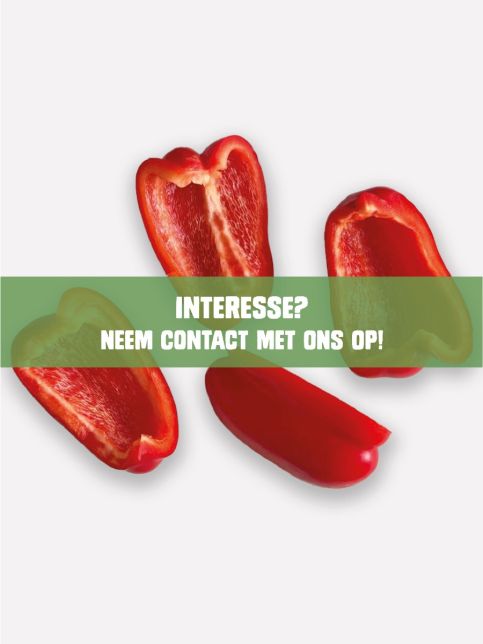 Paprika rood schoon in 4 stukken
