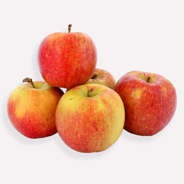 Appel jonagold (regeneratief)