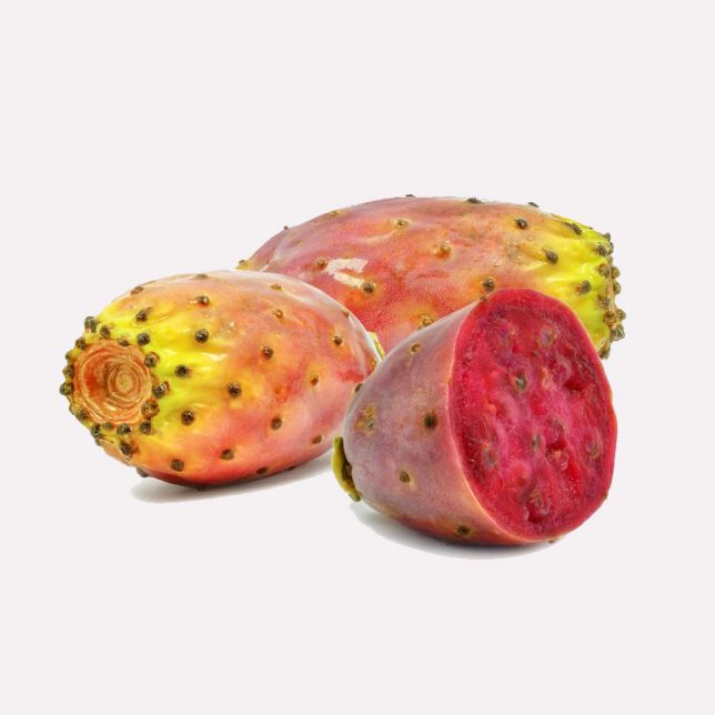 Cactusvijg