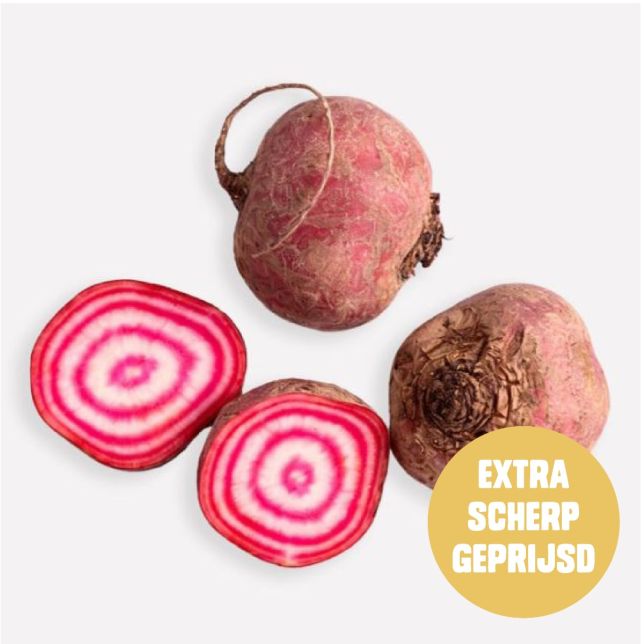 Biet chioggia (Regeneratief)