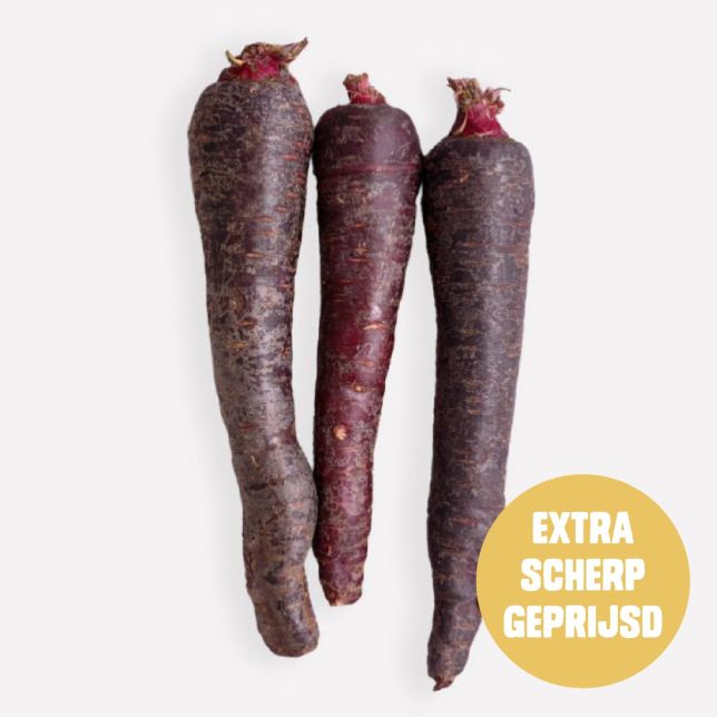 Winterpeen paars (regeneratief)