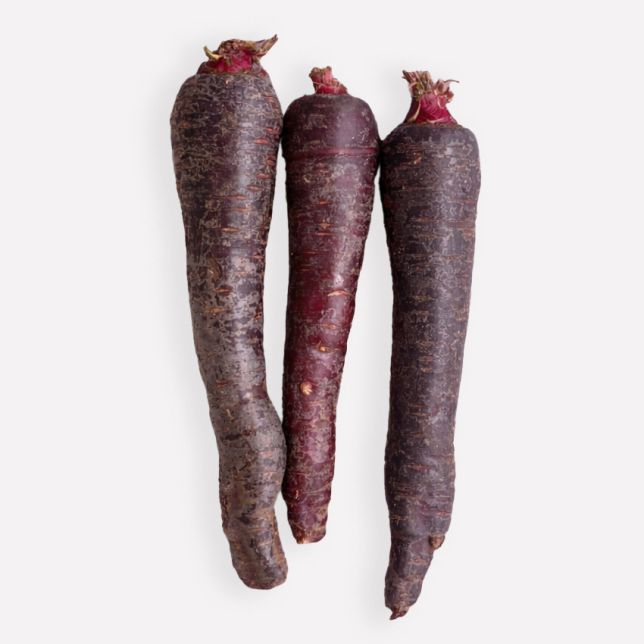 Winterpeen paars (regeneratief)