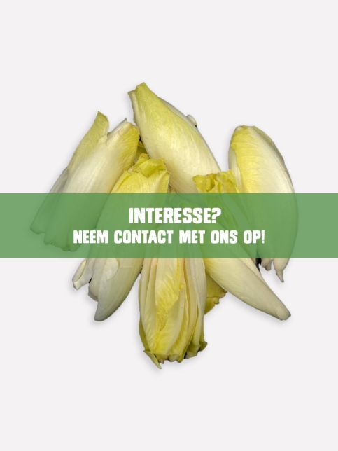 Witlof gesneden gehalveerd