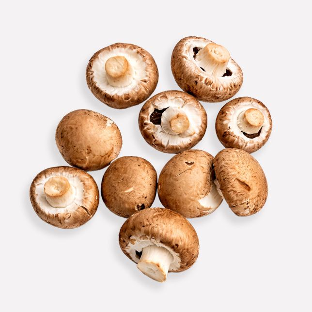 Champignon kastanje (regeneratief)