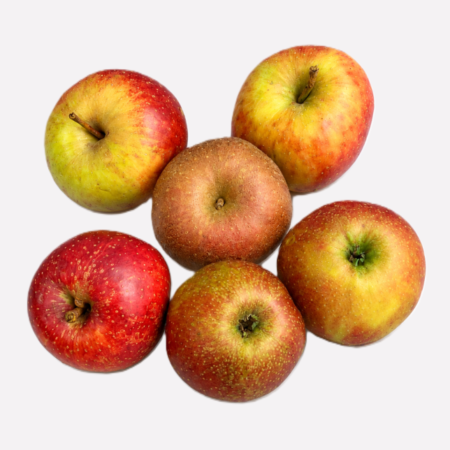 Appel boskoop (regeneratief)