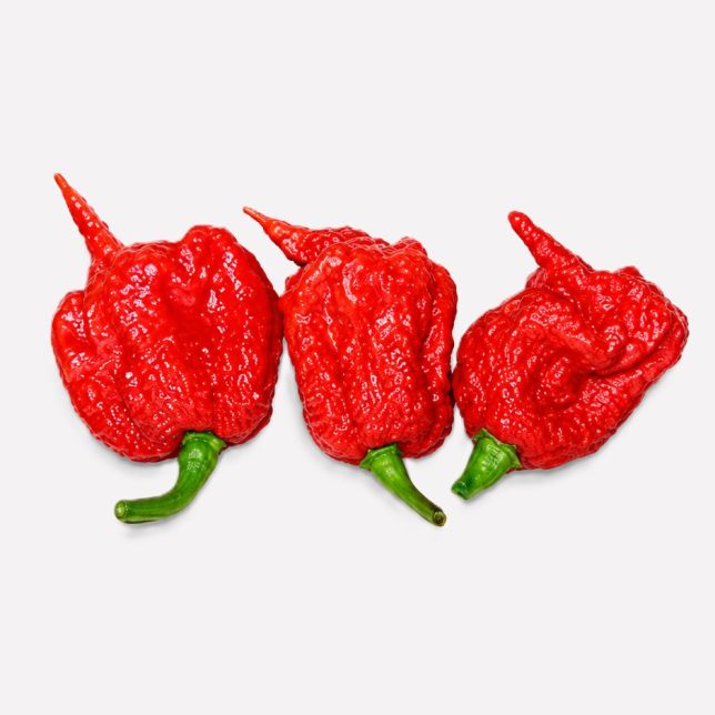 Peper caroline reaper