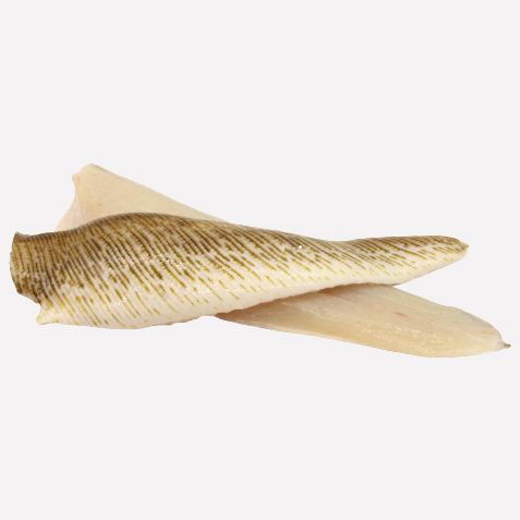 Pieterman filet