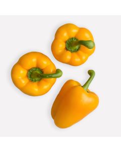 Paprika geel