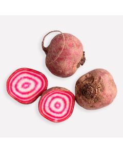 Biet chioggia (Regeneratief)