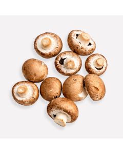 Champignon kastanje (regeneratief)