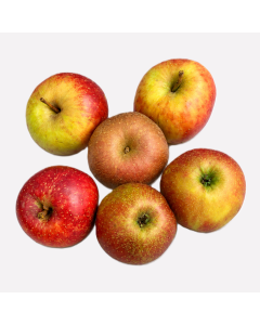Appel boskoop (regeneratief)