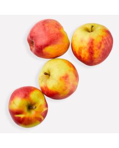 Appel elstar (regeneratief)