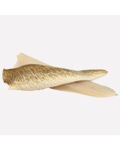 Pieterman filet