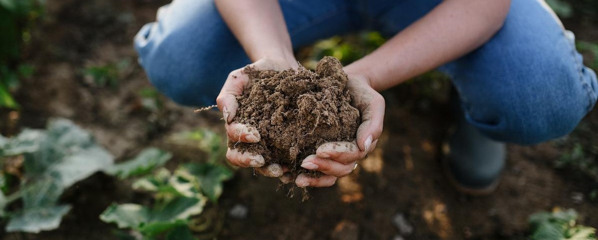 Wat betekent regeneratief? Is dat het nieuwe biologisch?