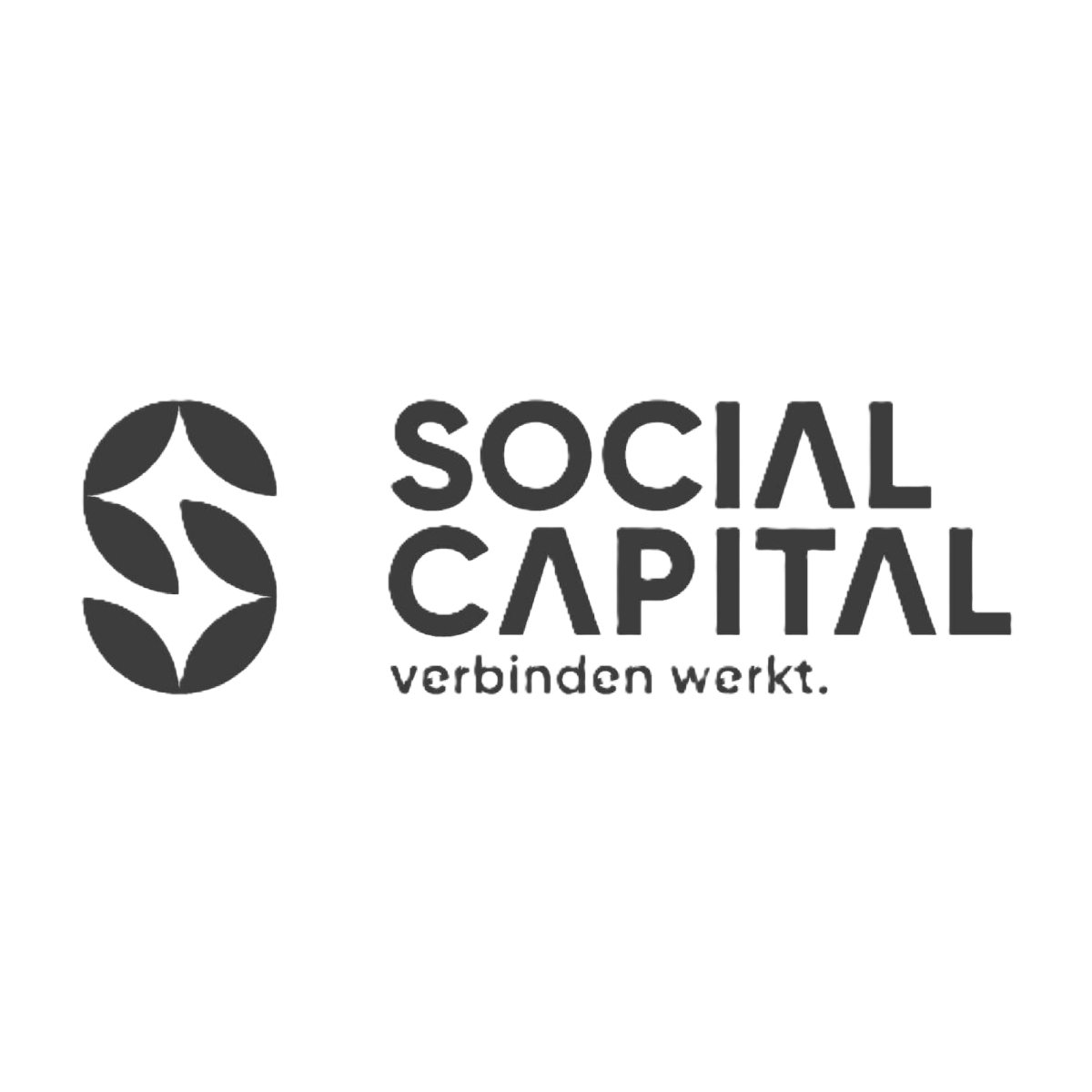 Social Capital
