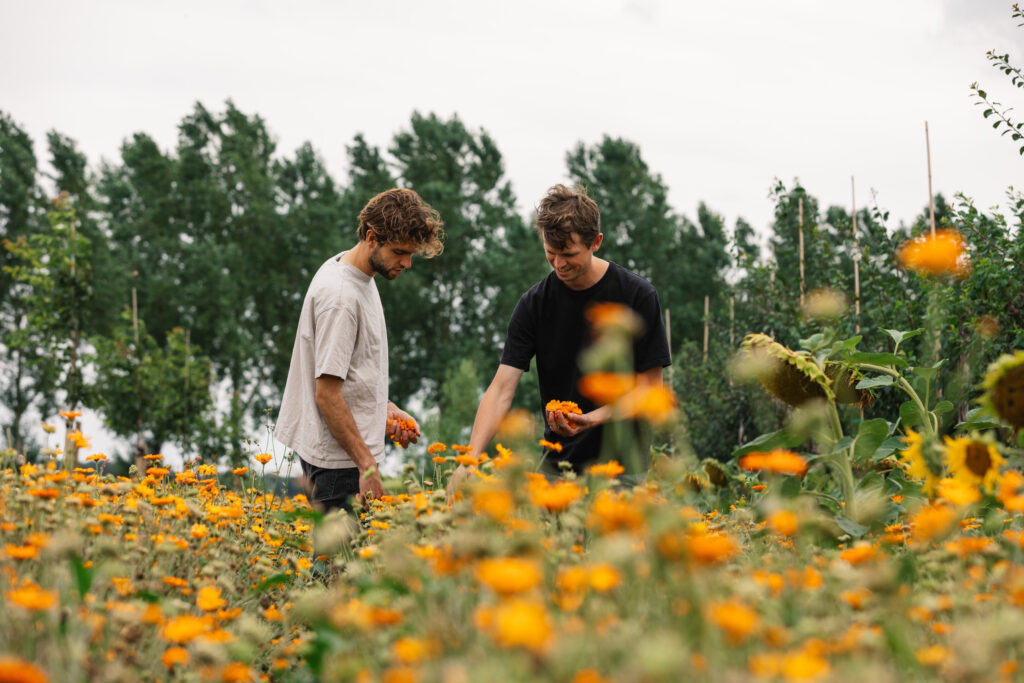 Wilder land achtergrond